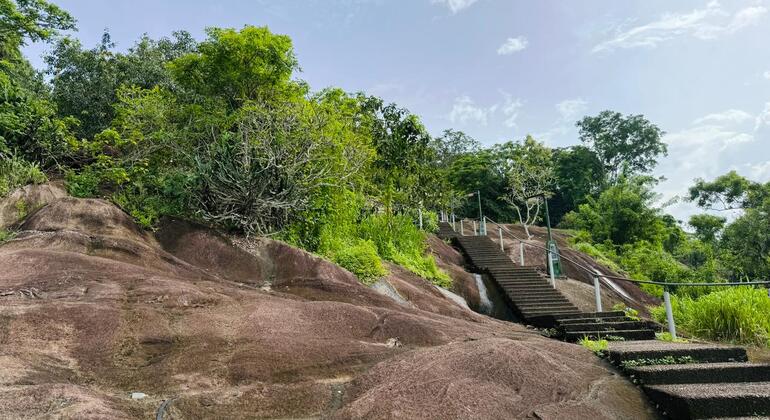 Verborgene Tempel und Dschungelgipfel: Halbtagestour nach Gampaha Sri Lanka &mdash; #4