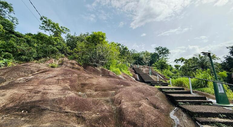 Verborgene Tempel und Dschungelgipfel: Halbtagestour nach Gampaha Sri Lanka &mdash; #5