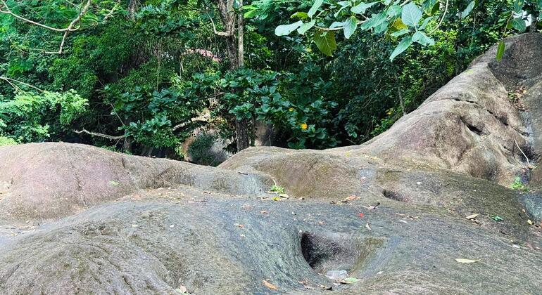 Verborgene Tempel und Dschungelgipfel: Halbtagestour nach Gampaha Sri Lanka &mdash; #6