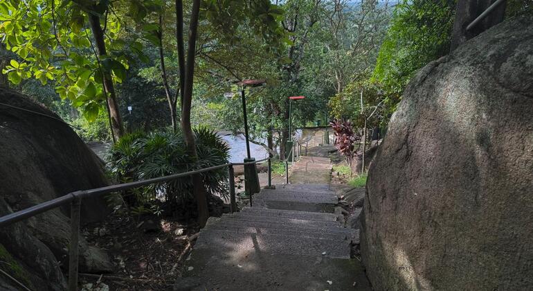 Verborgene Tempel und Dschungelgipfel: Halbtagestour nach Gampaha Sri Lanka &mdash; #7