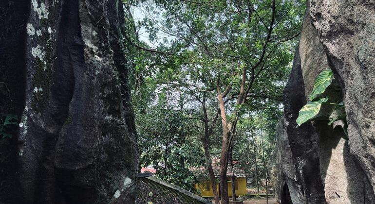 Verborgene Tempel und Dschungelgipfel: Halbtagestour nach Gampaha Sri Lanka &mdash; #10