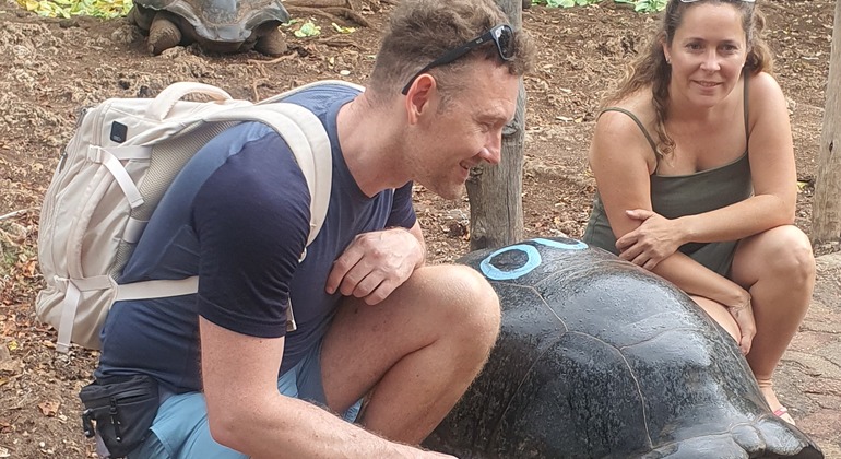 Prison Island, Sandbank with Lunch & Stone Town Walking Tour Tanzania &mdash; #7