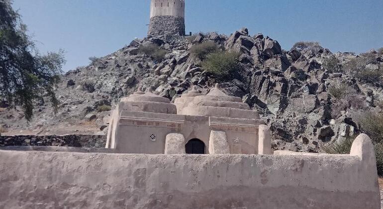 private-fujeirah-tour-four-hours-en-3