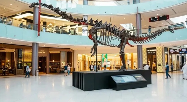 Dubai Mall, Downtown: tour gratuito in atmosfera rilassata con un amico e soste fotografiche Emirati Arabi Uniti &mdash; #2