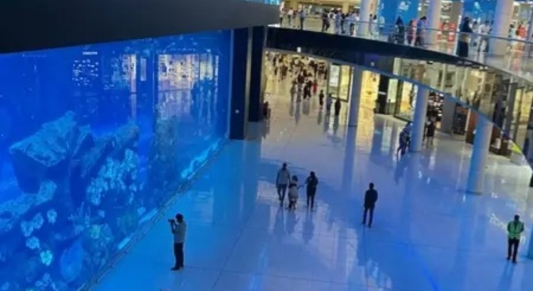 Dubai Mall, Downtown: tour gratuito in atmosfera rilassata con un amico e soste fotografiche Emirati Arabi Uniti &mdash; #3