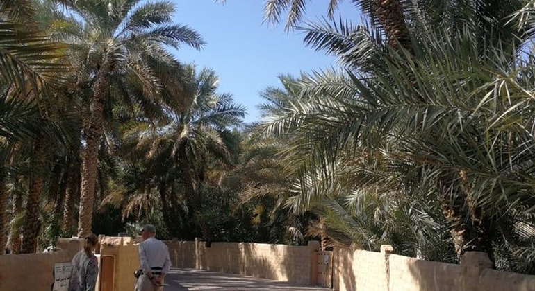 Private Al Ain City Tour with Professional Driver global.countries. &mdash; #2