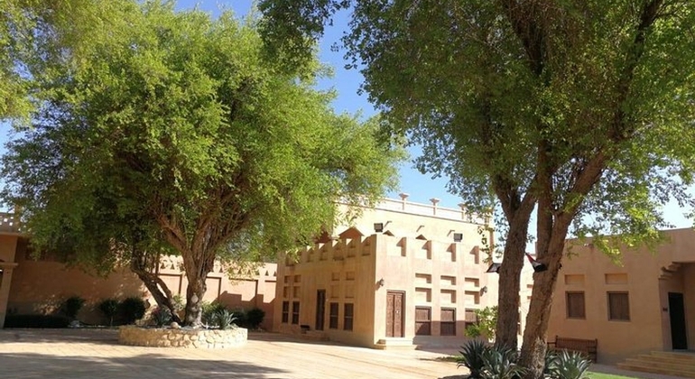 Private Al Ain City Tour with Professional Driver global.countries. &mdash; #3
