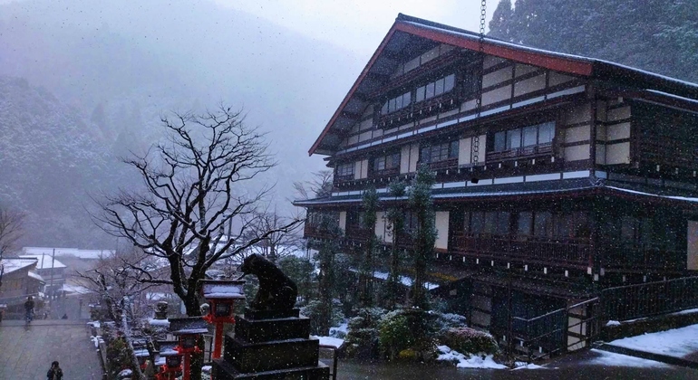 Kyoto: Guided Nature Walk to Kurama & Kibune