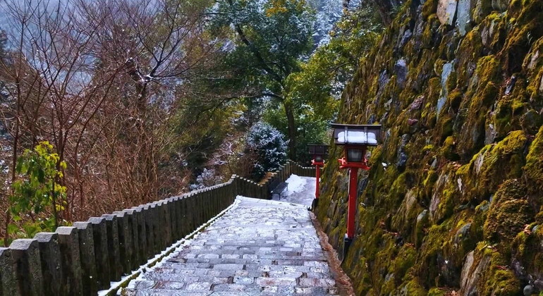 Quioto: Passeio guiado pela natureza até Kurama e Kibune Japão &mdash; #6