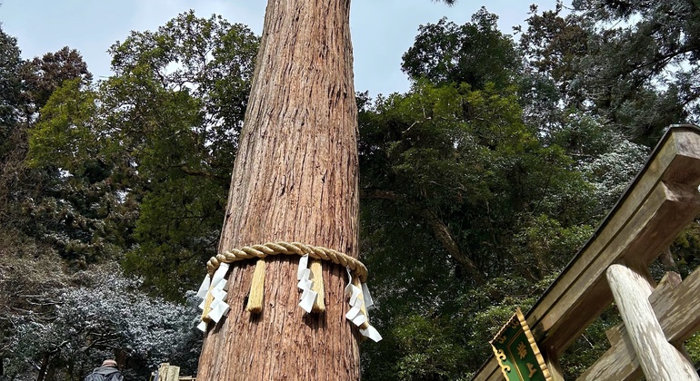 Quioto: Passeio guiado pela natureza até Kurama e Kibune Japão &mdash; #8