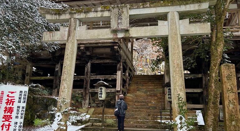 Quioto: Passeio guiado pela natureza até Kurama e Kibune Japão &mdash; #10