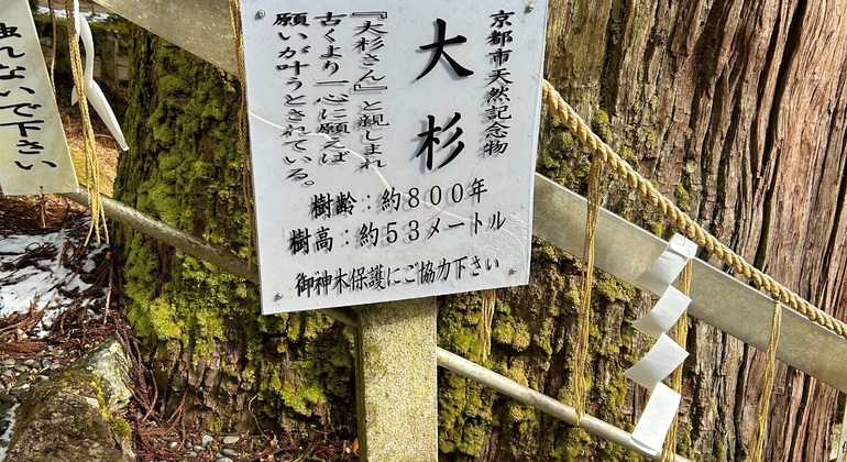 Quioto: Passeio guiado pela natureza até Kurama e Kibune Japão &mdash; #16