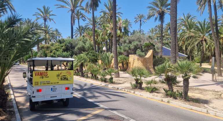 Private Tuk Tuk Tours in Alicante: Customize your Adventure Spain &mdash; #15