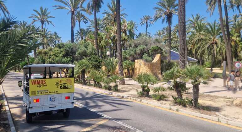 Private Tuk Tuk Tours in Alicante: Customize your Adventure Spain &mdash; #16