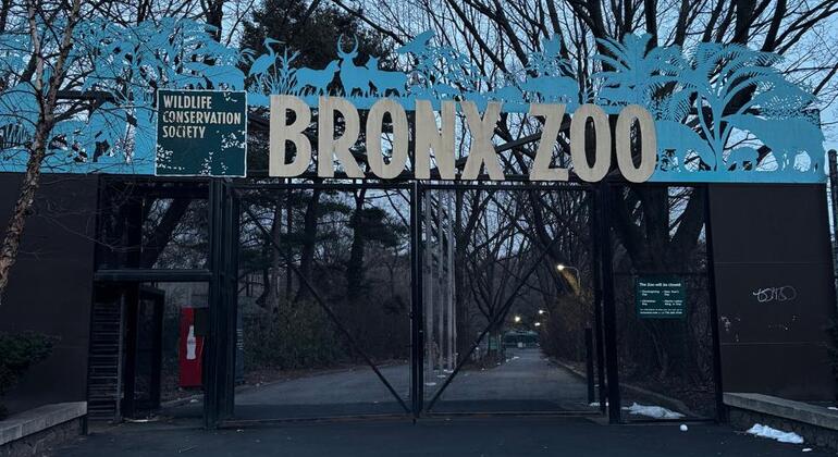 El Bronx Autentico Tour Estados Unidos &mdash; #5