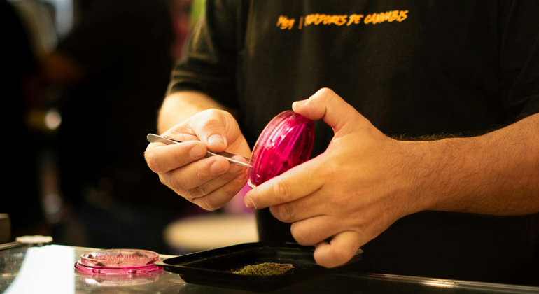 Amsterdam: Private Culture Tour with Coffeeshops Netherlands &mdash; #2