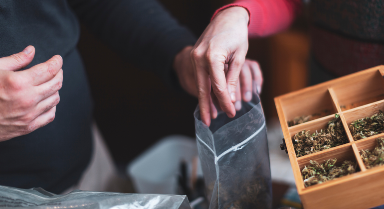Amsterdam: Private Culture Tour with Coffeeshops Netherlands &mdash; #3