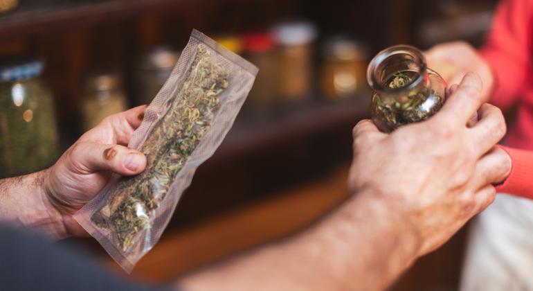 Amsterdam: Private Culture Tour with Coffeeshops Netherlands &mdash; #7