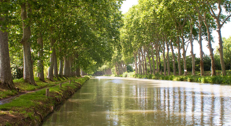 audio-guide-app-toulouse-city-tour-en-2