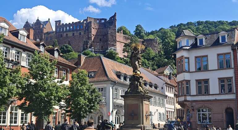 Enamórate de Heidelberg: recorrido a pie gratuito guiado por un estudiante local Operado por Bilal Muhammad