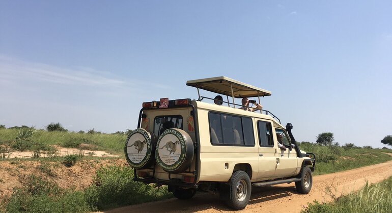Safari de luxe « Big Five » en Ouganda  Ouganda &mdash; #2