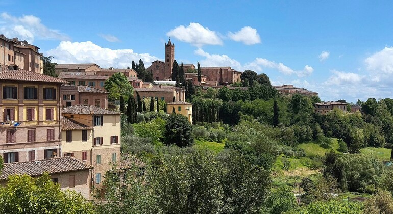 As Contrade de Siena: Jogo de exploração autoguiado e passeio a pé Itália &mdash; #2