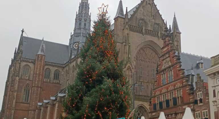 discovering-haarlem-tour-beyond-amsterdam-es-3
