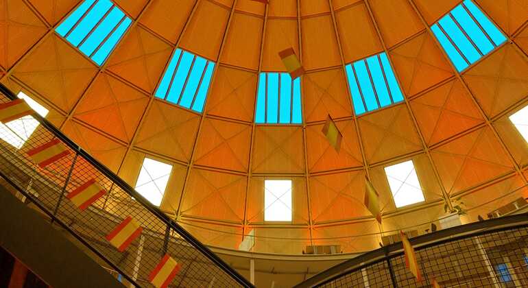 discovering-haarlem-tour-beyond-amsterdam-es-4