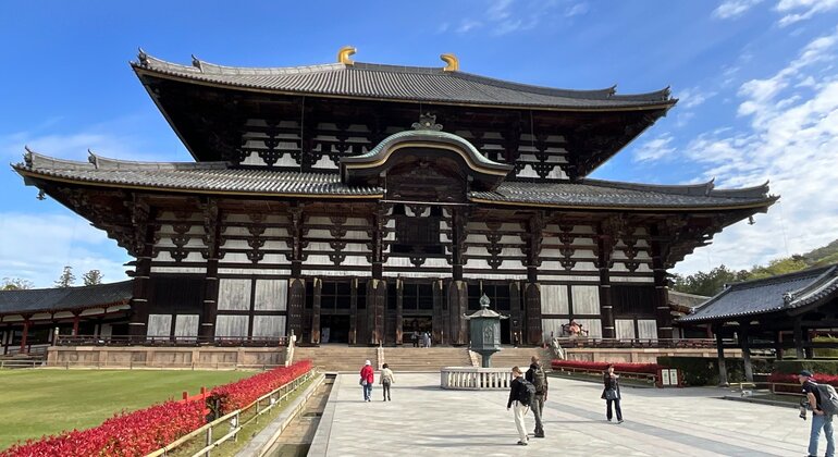 Excursión matutina a Nara: paseo con los ciervos y visita a la primera capital de Japón Operado por Shigeki Yamasaki