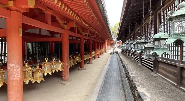 Excursión matutina a Nara: paseo con los ciervos y visita a la primera capital de Japón Japón &mdash; #6