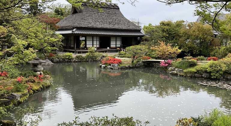 Excursión matutina a Nara: paseo con los ciervos y visita a la primera capital de Japón Japón &mdash; #11