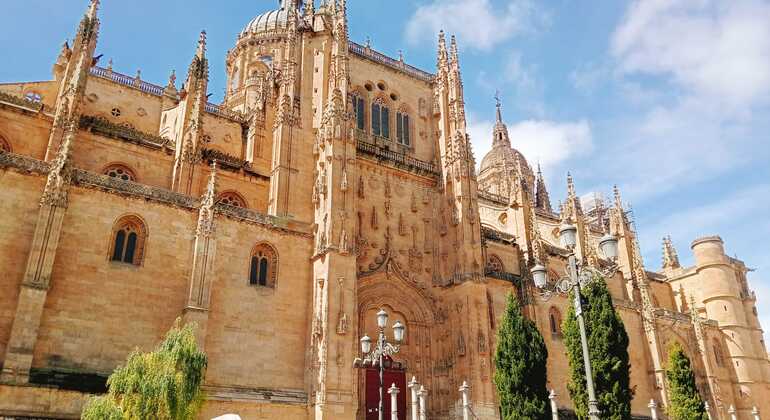 L'essenziale di Salamanca - Tour gratuito Spagna &mdash; #5