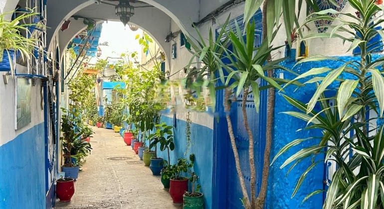 Tangier Old Medina & City Highlights Free Tour Morocco &mdash; #4