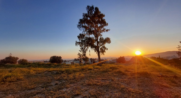 Hills of Athens Tour: Off-The-Beaten-Path Urban Hike & Sunset View Grèce &mdash; #3
