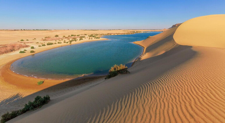 Excursion au départ du Caire : l'oasis de Fayoum et les cascades de Wadi El-Rayan