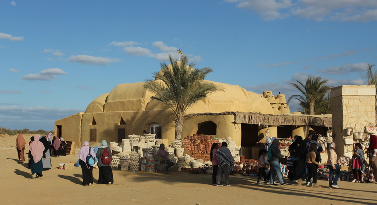 Fayoum Oasis & Waterfalls of Wadi El-Rayan Tour from Cairo Egypt &mdash; #2