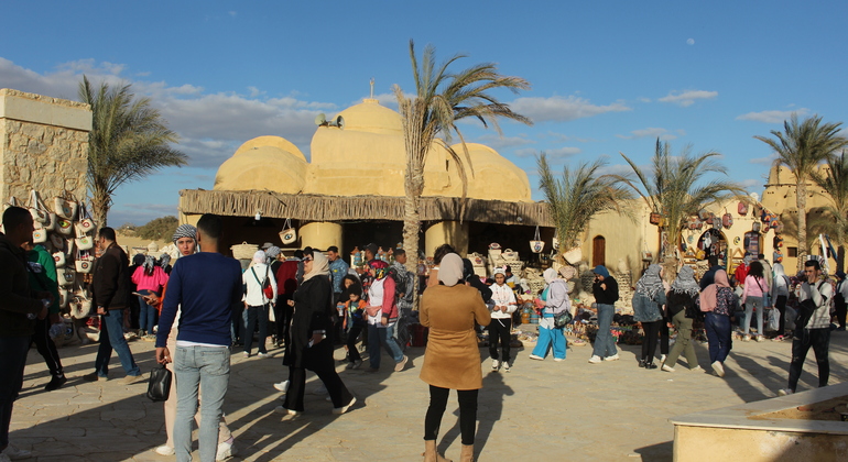 Fayoum Oasis & Waterfalls of Wadi El-Rayan Tour from Cairo Egypt &mdash; #8