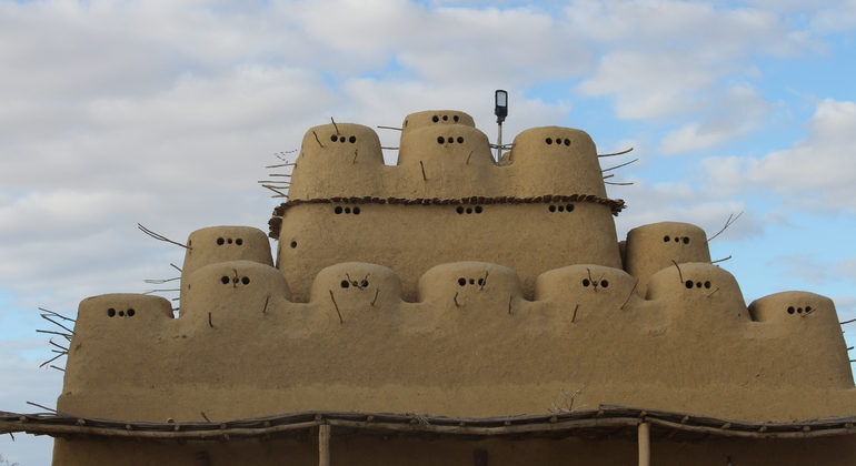 Fayoum Oasis & Waterfalls of Wadi El-Rayan Tour from Cairo Egypt &mdash; #10