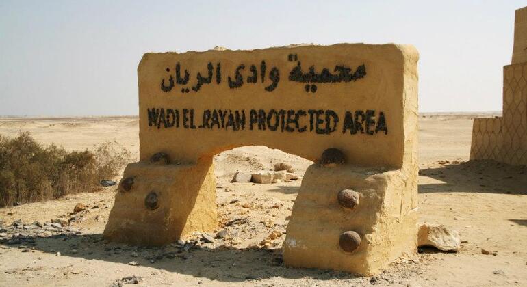 Fayoum Oasis & Waterfalls of Wadi El-Rayan Tour from Cairo Egypt &mdash; #17