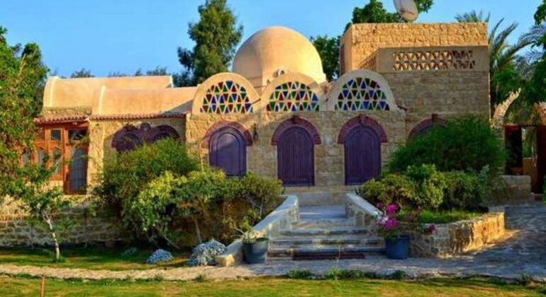 Fayoum Oasis & Waterfalls of Wadi El-Rayan Tour from Cairo Egypt &mdash; #19