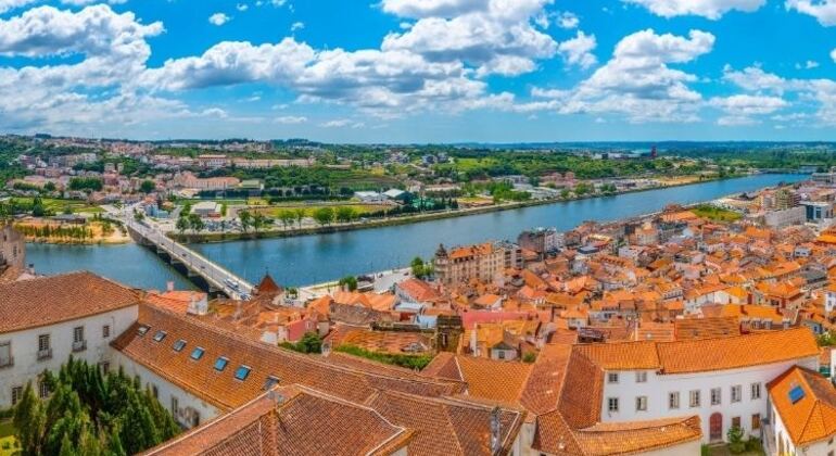 Coimbra's Carnation Revolution: Self-Guided Exploration Game Portugal &mdash; #4