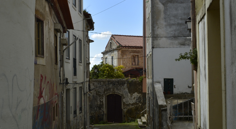 Coimbra Walking Guided Tour with a Local Student Portugal &mdash; #25