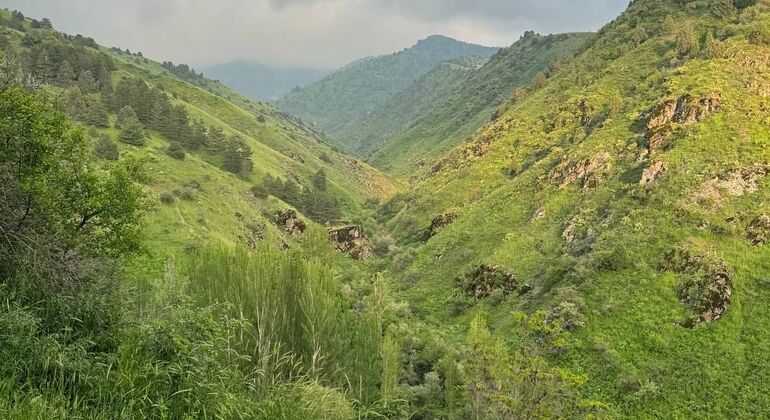 From Tashkent to Tian-Shan: Mountain Fairy Tale Tour Uzbekistan &mdash; #10