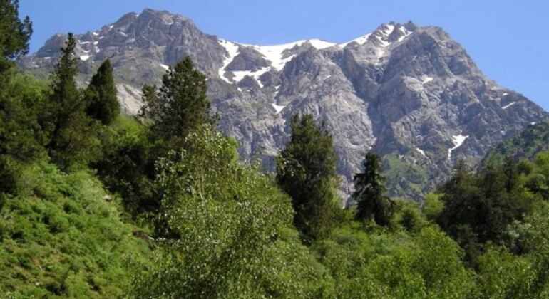 From Tashkent to Tian-Shan: Mountain Fairy Tale Tour Uzbekistan &mdash; #16