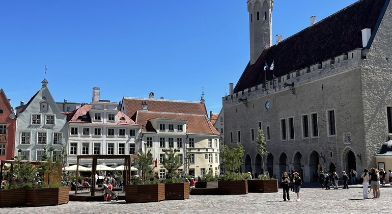 Visite guidée à pied de Tallinn médiévale Fournie par Makevents