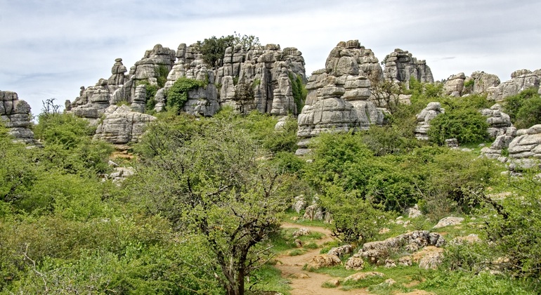 Visita Geológica en el Torcal de Antequera con guía profesional
