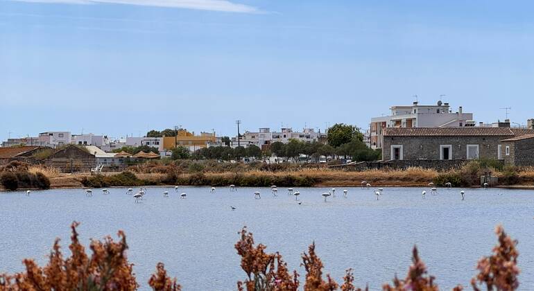 fuseta-free-sunset-tour-legends-salt-and-the-estuary-en-2