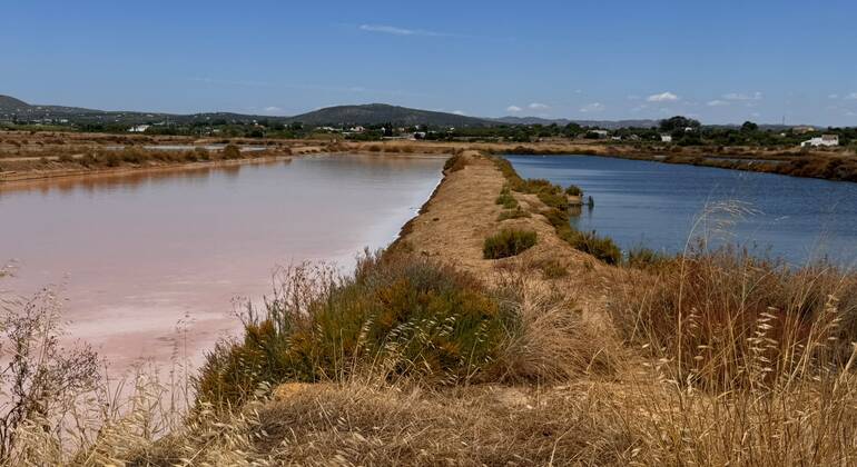 fuseta-free-sunset-tour-legends-salt-and-the-estuary-en-7
