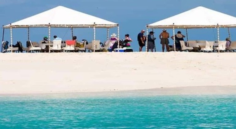 Prison Island & Nakupenda Sandbank Zanzibar Tour Tanzania &mdash; #3