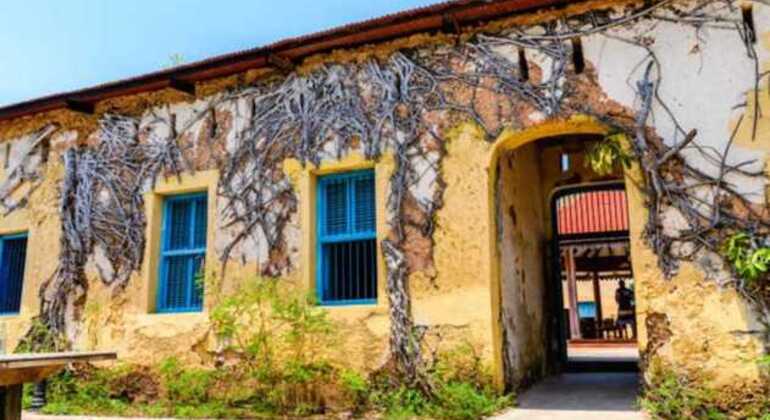 Prison Island & Nakupenda Sandbank Zanzibar Tour Tanzania &mdash; #5